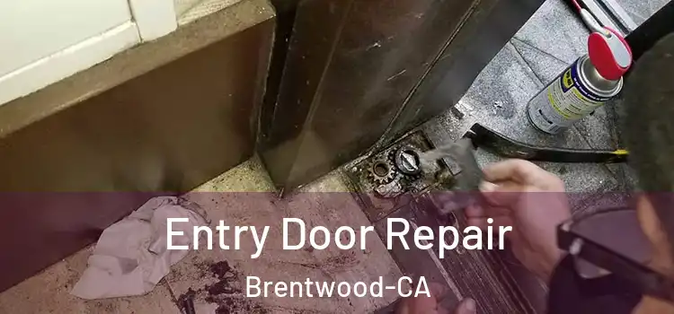  Entry Door Repair Brentwood-CA