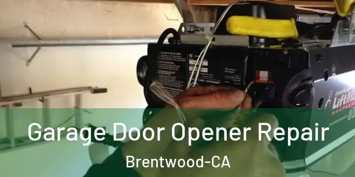 Garage Door Opener Repair Brentwood-CA