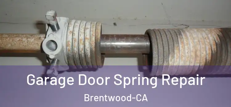  Garage Door Spring Repair Brentwood-CA