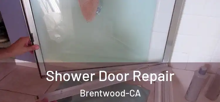  Shower Door Repair Brentwood-CA